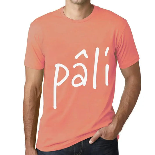 Men's Graphic T-Shirt Pâli Eco-Friendly Limited Edition Short Sleeve Tee-Shirt Vintage Birthday Gift Novelty