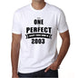 2003 No One Is Perfect White Mens Short Sleeve Round Neck T-Shirt 00093 - White / S - Casual