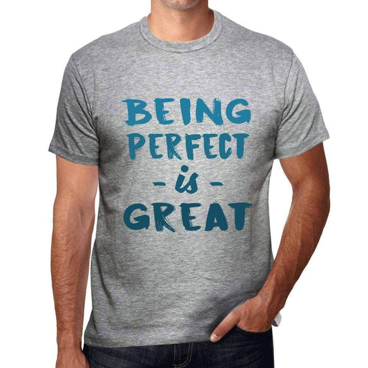 Being Perfect Is Great Mens T-Shirt Grey Birthday Gift 00376 - Grey / S - Casual