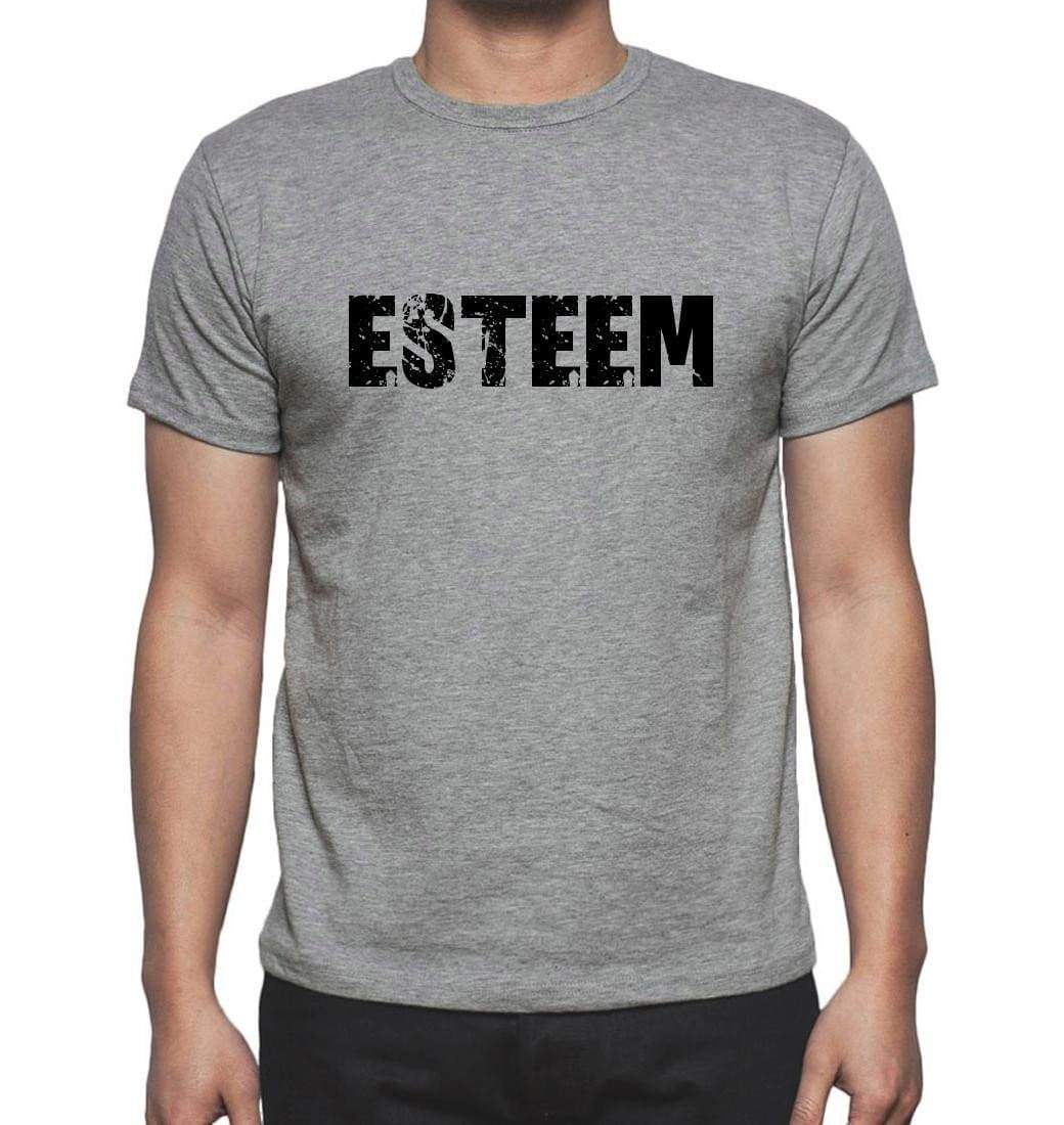 Esteem Grey Mens Short Sleeve Round Neck T-Shirt 00018 - Grey / S - Casual