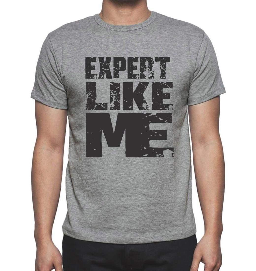 Expert Like Me Grey Mens Short Sleeve Round Neck T-Shirt 00066 - Grey / S - Casual