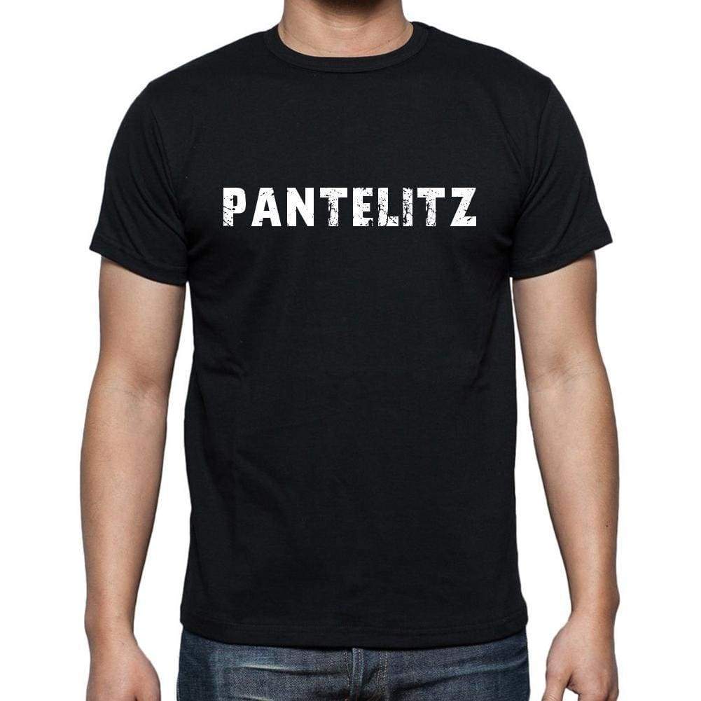 Pantelitz Mens Short Sleeve Round Neck T-Shirt 00003 - Casual