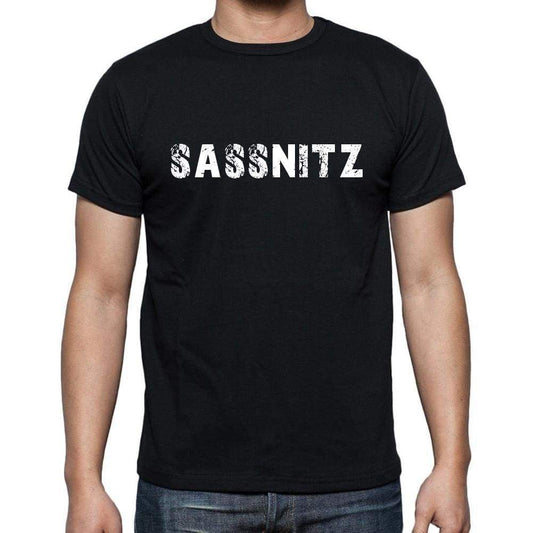 Sassnitz Mens Short Sleeve Round Neck T-Shirt 00003 - Casual