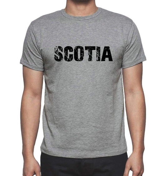 Scotia Grey Mens Short Sleeve Round Neck T-Shirt 00018 - Grey / S - Casual